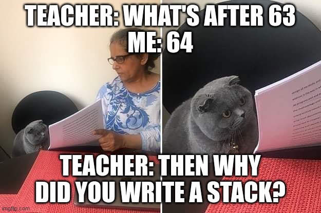 Woman showing paper to cat | TEACHER: WHAT'S AFTER 63
ME: 64; TEACHER: THEN WHY DID YOU WRITE A STACK? | image tagged in woman showing paper to cat | made w/ Imgflip meme maker
