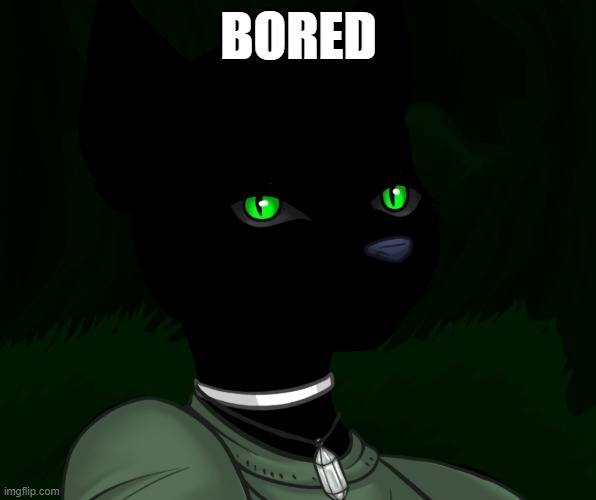 My new panther fursona | BORED | image tagged in my new panther fursona | made w/ Imgflip meme maker