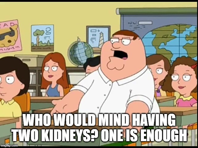 Who cares | WHO WOULD MIND HAVING TWO KIDNEYS? ONE IS ENOUGH | image tagged in who cares,kidney | made w/ Imgflip meme maker