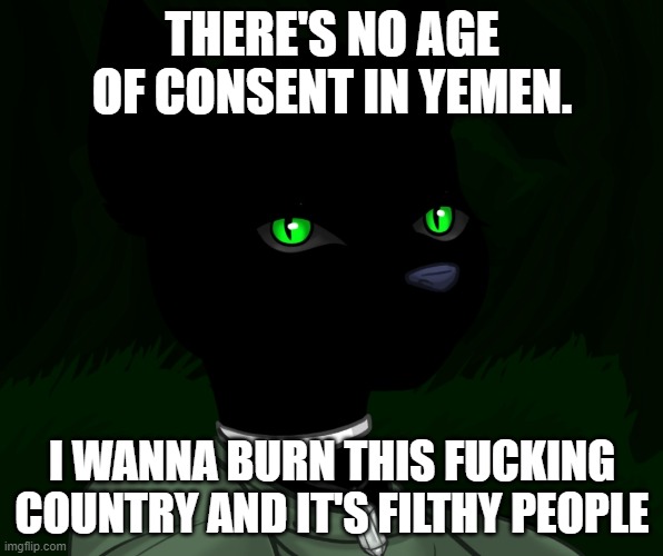 My new panther fursona | THERE'S NO AGE OF CONSENT IN YEMEN. I WANNA BURN THIS FUCKING COUNTRY AND IT'S FILTHY PEOPLE | image tagged in my new panther fursona | made w/ Imgflip meme maker