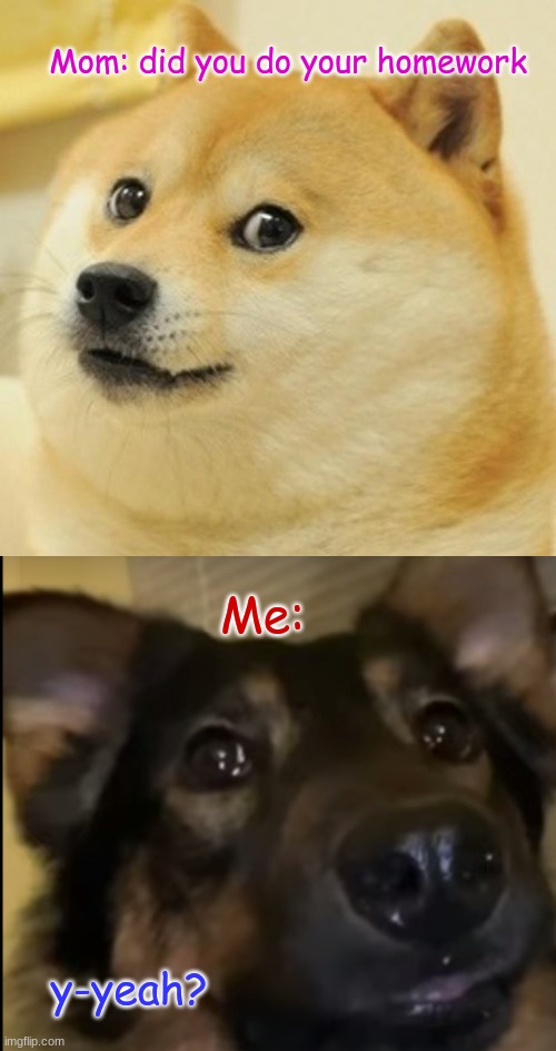 Mom: did you do your homework; Me:; y-yeah? | image tagged in memes,doge,doggy | made w/ Imgflip meme maker