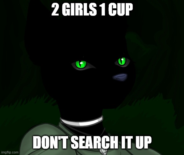 My new panther fursona | 2 GIRLS 1 CUP; DON'T SEARCH IT UP | image tagged in my new panther fursona | made w/ Imgflip meme maker