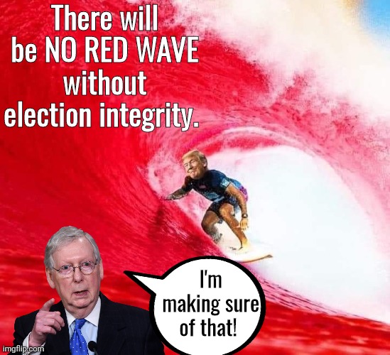 No red wave thanks to Turtle | There will be NO RED WAVE without election integrity. I'm making sure of that! | image tagged in donald trump | made w/ Imgflip meme maker