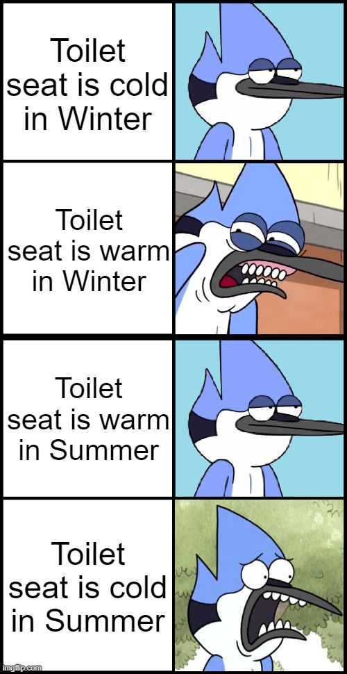 Who else could relate? | Toilet seat is cold in Winter; Toilet seat is warm in Winter; Toilet seat is warm in Summer; Toilet seat is cold in Summer | image tagged in mordecai disgusted,toilet seat,funny,relatable | made w/ Imgflip meme maker