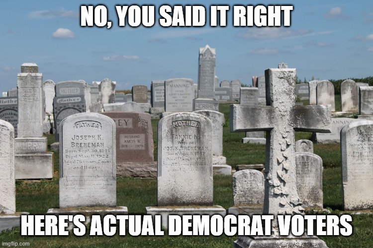 Cemetary | NO, YOU SAID IT RIGHT HERE'S ACTUAL DEMOCRAT VOTERS | image tagged in cemetary | made w/ Imgflip meme maker