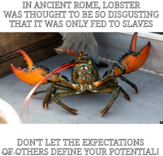 IN ANCIENT ROME, LOBSTER WAS THOUGHT TO BE SO DISGUSTING THAT IT WAS ONLY FED TO SLAVES; DON'T LET THE EXPECTATIONS OF OTHERS DEFINE YOUR POTENTIAL! | image tagged in funny memes | made w/ Imgflip meme maker
