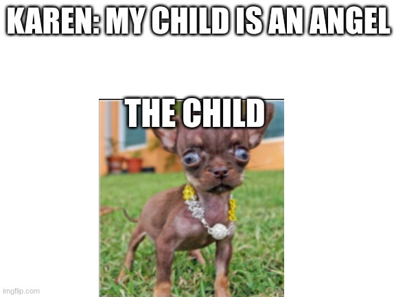 how true | KAREN: MY CHILD IS AN ANGEL; THE CHILD | image tagged in blank white template,funny,meme,dog,karen | made w/ Imgflip meme maker
