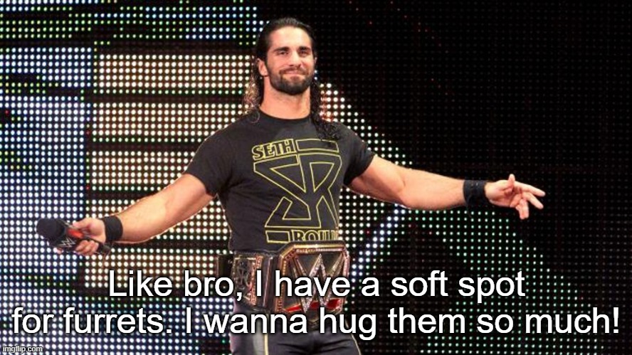 Seth Rollins | Like bro, I have a soft spot for furrets. I wanna hug them so much! | image tagged in seth rollins | made w/ Imgflip meme maker