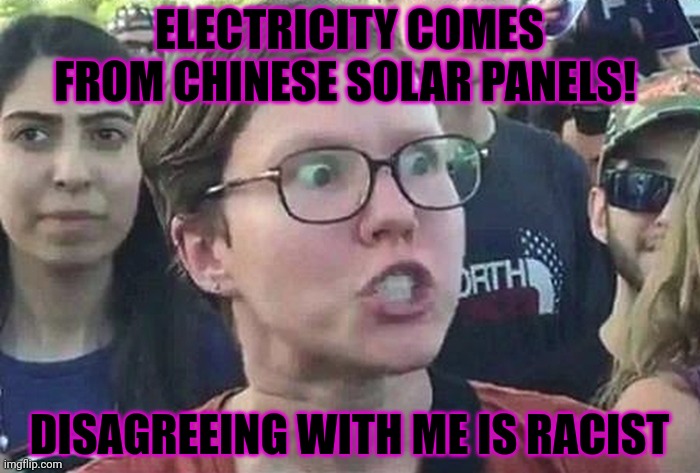 Triggered Liberal | ELECTRICITY COMES FROM CHINESE SOLAR PANELS! DISAGREEING WITH ME IS RACIST | image tagged in triggered liberal | made w/ Imgflip meme maker