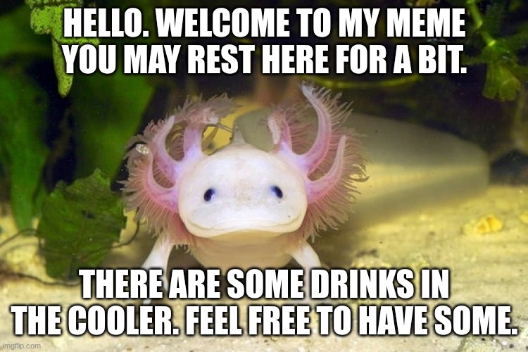 rest point | HELLO. WELCOME TO MY MEME YOU MAY REST HERE FOR A BIT. THERE ARE SOME DRINKS IN THE COOLER. FEEL FREE TO HAVE SOME. | image tagged in axolotl | made w/ Imgflip meme maker