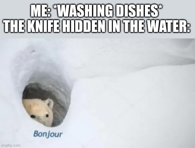 Guten tag | ME: *WASHING DISHES*

THE KNIFE HIDDEN IN THE WATER: | image tagged in bonjur | made w/ Imgflip meme maker