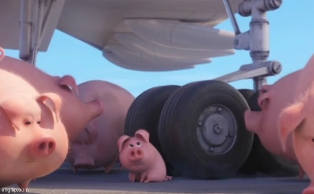 peeg | image tagged in memes,funny,pig nearly gets run over,despicable me,pig,airplane | made w/ Imgflip meme maker