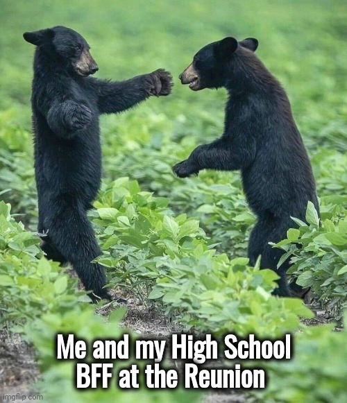 He made school bearable | Me and my High School
BFF at the Reunion | image tagged in da bears,best friends,hello my name is,we bare bears,right to bear arms | made w/ Imgflip meme maker