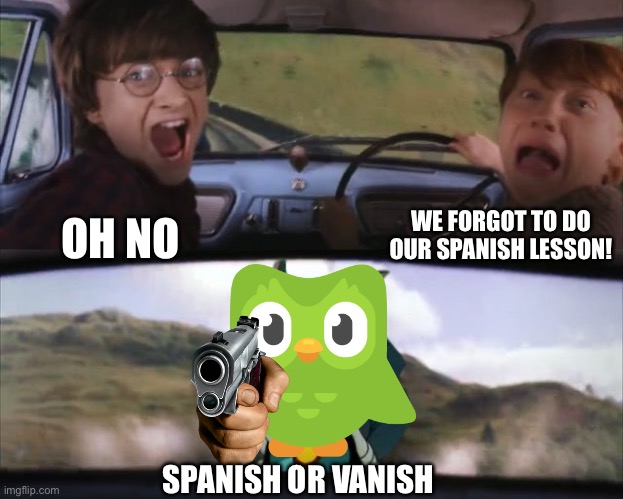 Harry Potter and Ron Weasley forget to do their Spanish lesson | WE FORGOT TO DO OUR SPANISH LESSON! OH NO; SPANISH OR VANISH | image tagged in tom chasing harry and ron weasly,memes,duolingo bird,duolingo,harry potter,harry potter meme | made w/ Imgflip meme maker