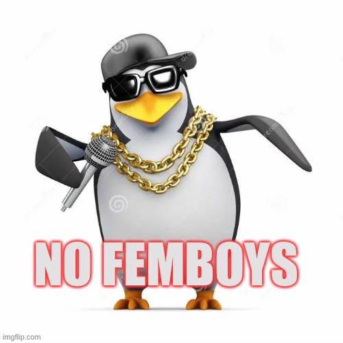 No Femboys Penguin | image tagged in no femboy penguin,new template,custom template,memes,penguin,template | made w/ Imgflip meme maker