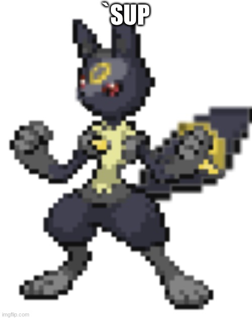 umbrecario | `SUP | image tagged in umbrecario | made w/ Imgflip meme maker