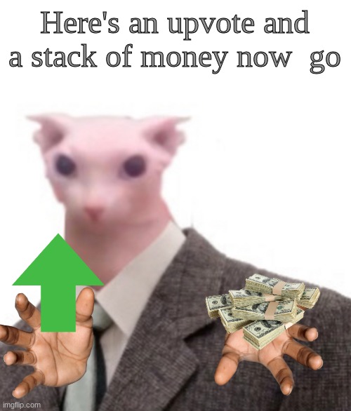 bingus | Here's an upvote and a stack of money now  go | image tagged in bingus | made w/ Imgflip meme maker