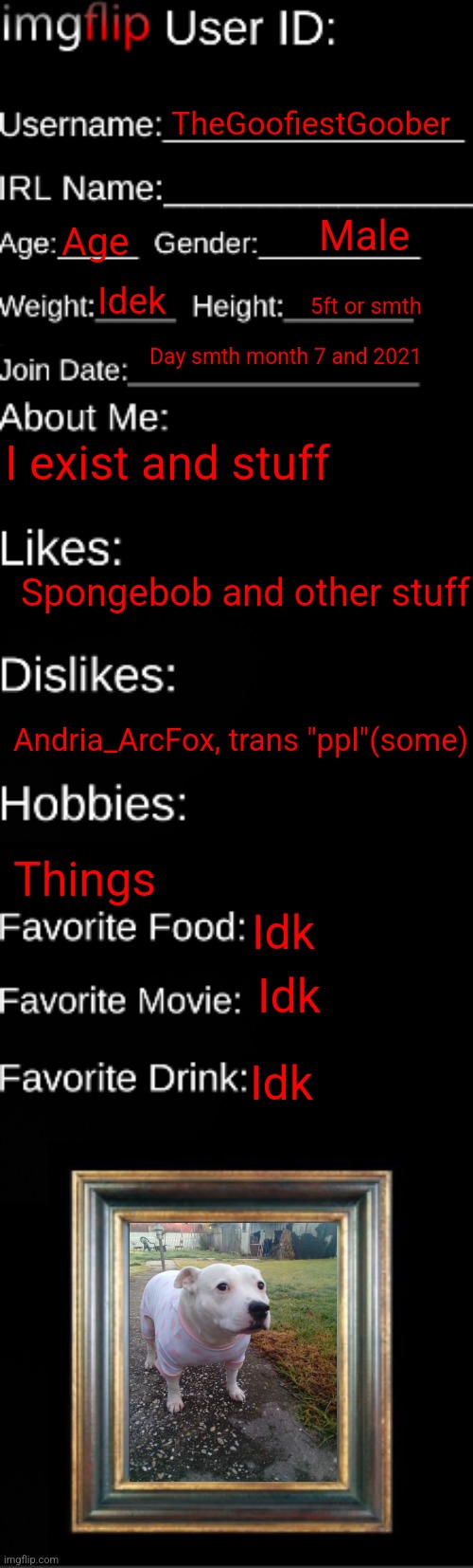 imgflip ID Card | TheGoofiestGoober; Male; Age; Idek; 5ft or smth; Day smth month 7 and 2021; I exist and stuff; Spongebob and other stuff; Andria_ArcFox, trans "ppl"(some); Things; Idk; Idk; Idk | image tagged in imgflip id card | made w/ Imgflip meme maker