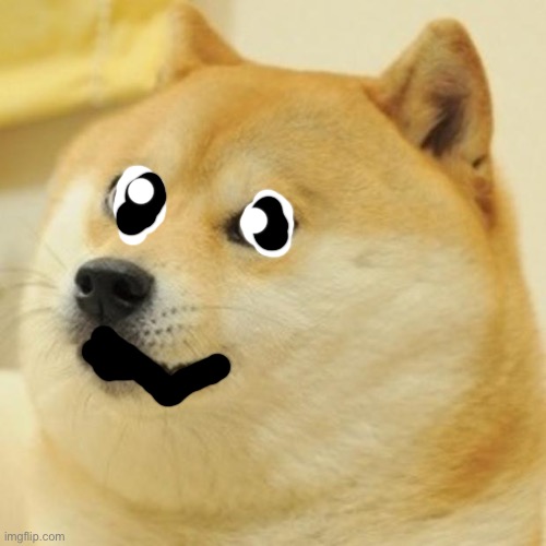 Doge Meme | image tagged in memes,doge | made w/ Imgflip meme maker