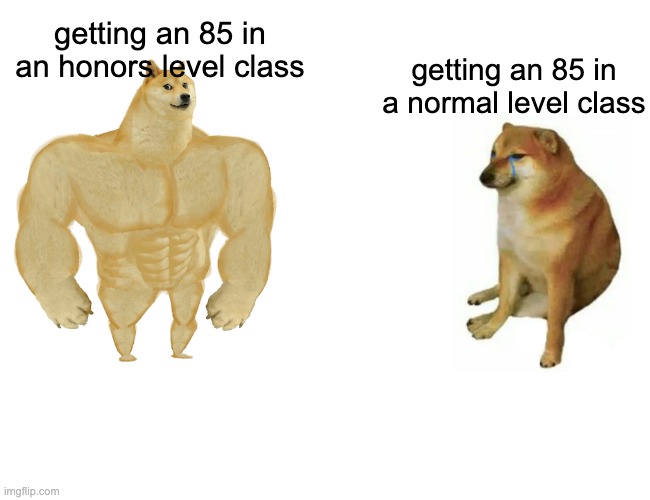 yup~ true story | getting an 85 in an honors level class; getting an 85 in a normal level class | image tagged in memes,buff doge vs cheems | made w/ Imgflip meme maker