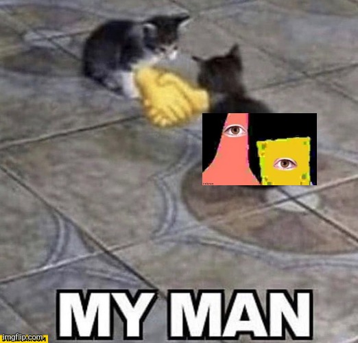 Cats shaking hands | image tagged in cats shaking hands | made w/ Imgflip meme maker