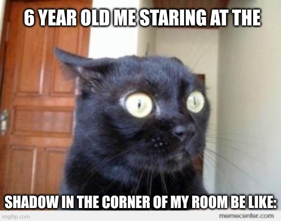 scared cat | 6 YEAR OLD ME STARING AT THE; SHADOW IN THE CORNER OF MY ROOM BE LIKE: | image tagged in scared cat | made w/ Imgflip meme maker