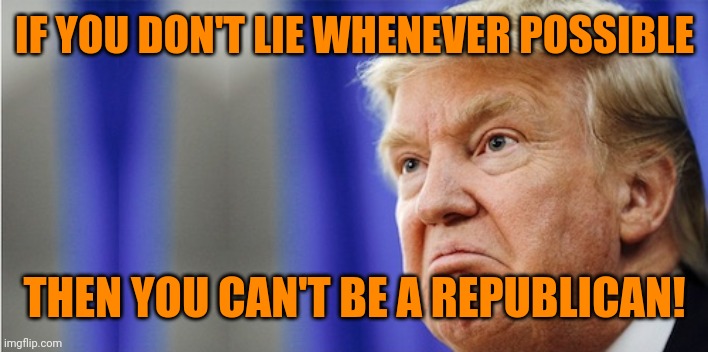 Trump Mad | IF YOU DON'T LIE WHENEVER POSSIBLE THEN YOU CAN'T BE A REPUBLICAN! | image tagged in trump mad | made w/ Imgflip meme maker