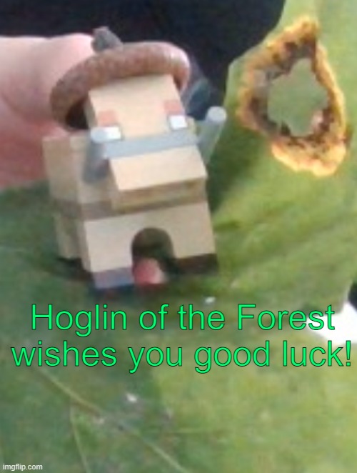 no reason | Hoglin of the Forest wishes you good luck! | image tagged in hoglin of the forest | made w/ Imgflip meme maker