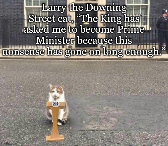 Larry the Downing Street cat, “The King has asked me to become Prime Minister because this nonsense has gone on long enough.” | made w/ Imgflip meme maker