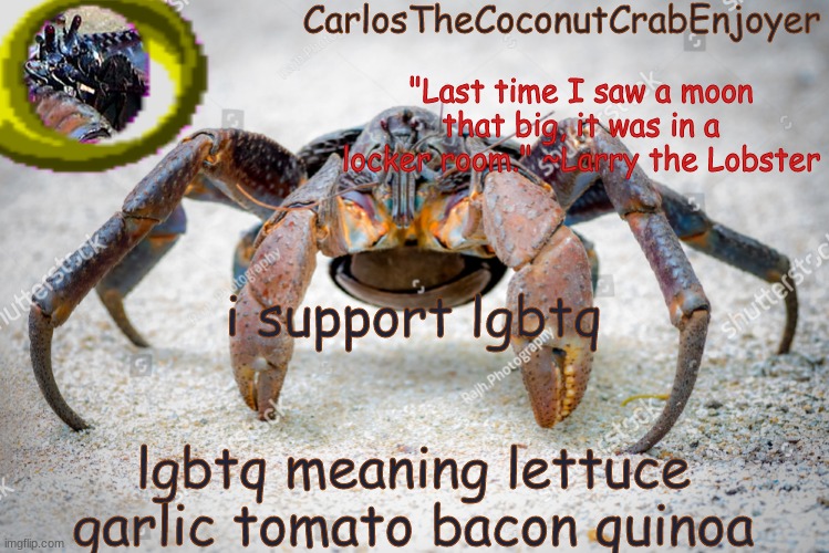 among us balls | i support lgbtq; lgbtq meaning lettuce garlic tomato bacon quinoa | made w/ Imgflip meme maker