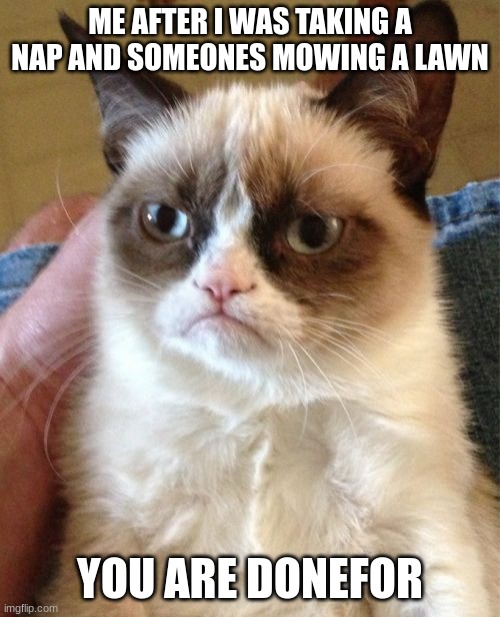 Screw the loud guys | ME AFTER I WAS TAKING A NAP AND SOMEONES MOWING A LAWN; YOU ARE DONEFOR | image tagged in memes,grumpy cat | made w/ Imgflip meme maker
