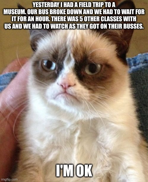 True story. Actually. Im not kidding | YESTERDAY I HAD A FIELD TRIP TO A MUSEUM. OUR BUS BROKE DOWN AND WE HAD TO WAIT FOR IT FOR AN HOUR. THERE WAS 5 OTHER CLASSES WITH US AND WE HAD TO WATCH AS THEY GOT ON THEIR BUSSES. I'M OK | image tagged in memes,grumpy cat | made w/ Imgflip meme maker