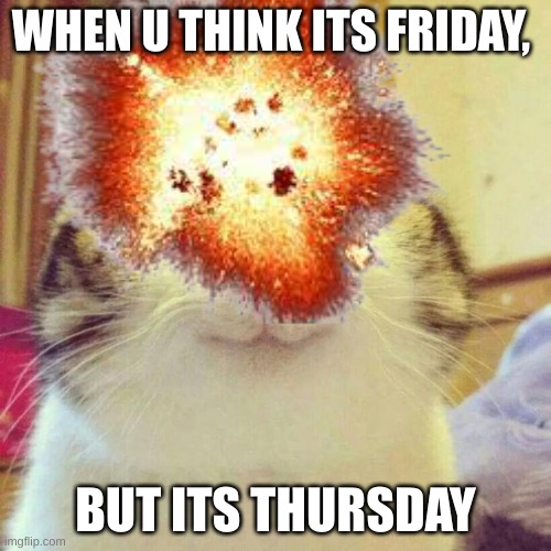 me today | WHEN U THINK ITS FRIDAY, BUT ITS THURSDAY | image tagged in true | made w/ Imgflip meme maker