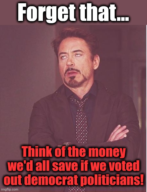 Face You Make Robert Downey Jr Meme | Forget that... Think of the money we'd all save if we voted out democrat politicians! | image tagged in memes,face you make robert downey jr | made w/ Imgflip meme maker