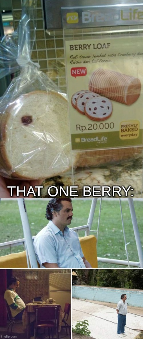:¨( | THAT ONE BERRY: | image tagged in memes,sad pablo escobar,lol,you had one job,you had one job just the one,funny | made w/ Imgflip meme maker