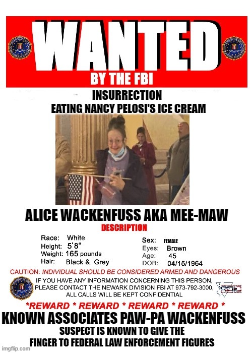 She’s a Wily One | INSURRECTION; EATING NANCY PELOSI'S ICE CREAM; ALICE WACKENFUSS AKA MEE-MAW; FEMALE; KNOWN ASSOCIATES PAW-PA WACKENFUSS; SUSPECT IS KNOWN TO GIVE THE FINGER TO FEDERAL LAW ENFORCEMENT FIGURES | made w/ Imgflip meme maker