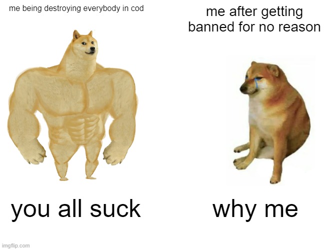 bruh | me being destroying everybody in cod; me after getting banned for no reason; you all suck; why me | image tagged in memes,buff doge vs cheems | made w/ Imgflip meme maker