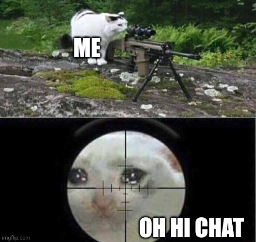 Sniper cat | ME; OH HI CHAT | image tagged in sniper cat | made w/ Imgflip meme maker