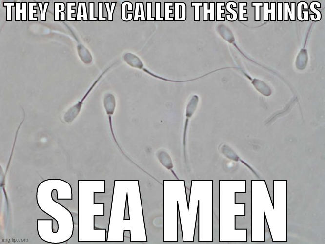 THEY REALLY CALLED THESE THINGS; SEA MEN | made w/ Imgflip meme maker