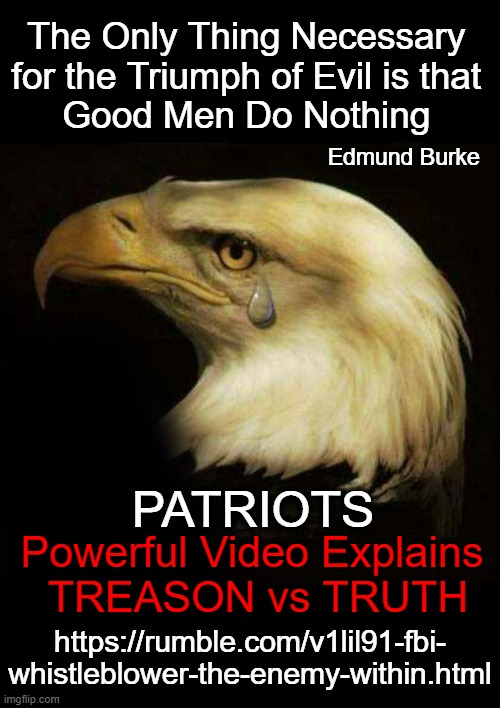 Must-see video... https://rumble.com/v1lil91-fbi-whistleblower-the-enemy-within.html | The Only Thing Necessary 
for the Triumph of Evil is that 
Good Men Do Nothing; Edmund Burke; PATRIOTS; Powerful Video Explains 
TREASON vs TRUTH; https://rumble.com/v1lil91-fbi-
whistleblower-the-enemy-within.html | image tagged in politics,conservatives,pay attention,reject the radical agenda,fbi,government corruption | made w/ Imgflip meme maker