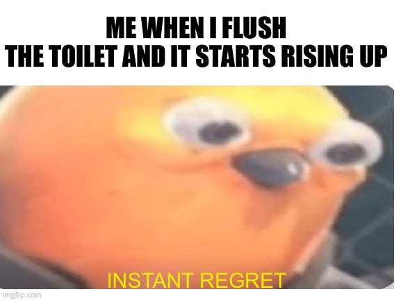 NOT AT A FRIENDS HOUSE | ME WHEN I FLUSH THE TOILET AND IT STARTS RISING UP; INSTANT REGRET | image tagged in toliet,regret,instant regret,dont | made w/ Imgflip meme maker