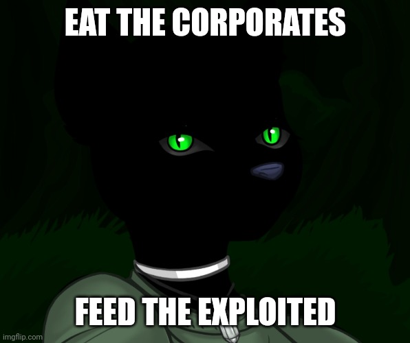 My new panther fursona | EAT THE CORPORATES; FEED THE EXPLOITED | image tagged in my new panther fursona | made w/ Imgflip meme maker