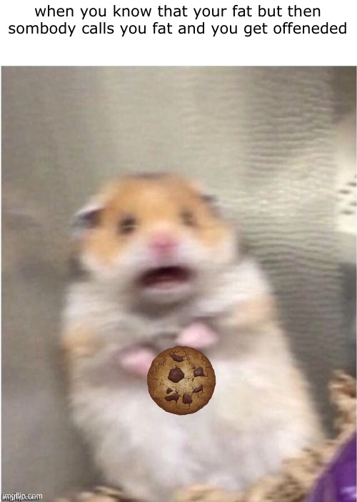 *sad fat hamster noises* | when you know that your fat but then sombody calls you fat and you get offeneded | image tagged in scared hamster | made w/ Imgflip meme maker