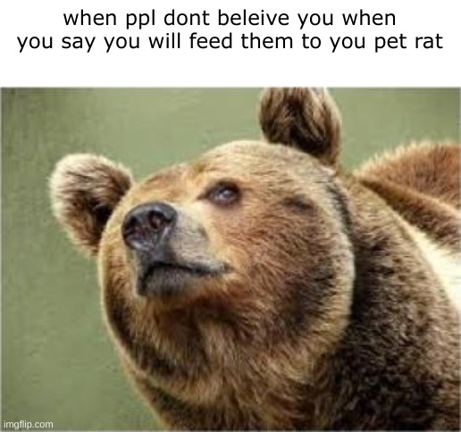 mmmm hmmm | when ppl dont beleive you when you say you will feed them to you pet rat | image tagged in memes,smug bear | made w/ Imgflip meme maker