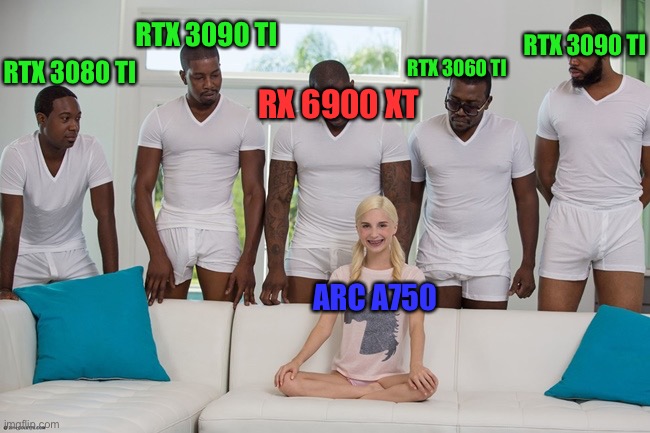 piper perri | RTX 3090 TI; RTX 3090 TI; RTX 3060 TI; RTX 3080 TI; RX 6900 XT; ARC A750 | image tagged in piper perri | made w/ Imgflip meme maker