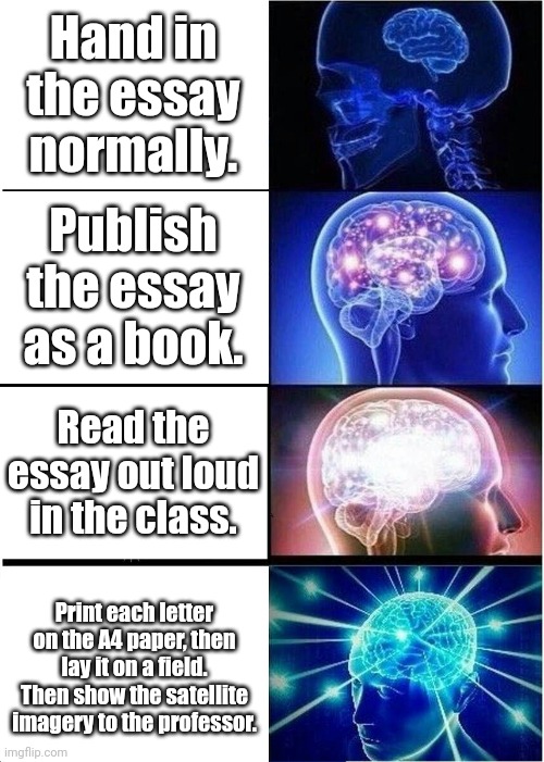 Writing essay. | Hand in the essay normally. Publish the essay as a book. Read the essay out loud in the class. Print each letter on the A4 paper, then lay it on a field. Then show the satellite imagery to the professor. | image tagged in memes,expanding brain,student life,essay | made w/ Imgflip meme maker