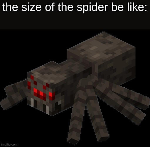 Spider | the size of the spider be like: | image tagged in spider | made w/ Imgflip meme maker