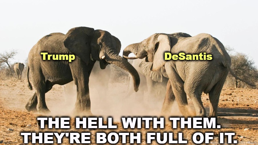 If that's the best the GOP can offer, nerts. |  Trump                           DeSantis; THE HELL WITH THEM. THEY'RE BOTH FULL OF IT. | image tagged in disarray in the gop republican elephants maga,gop,republicans,trump,fighting,desantis | made w/ Imgflip meme maker