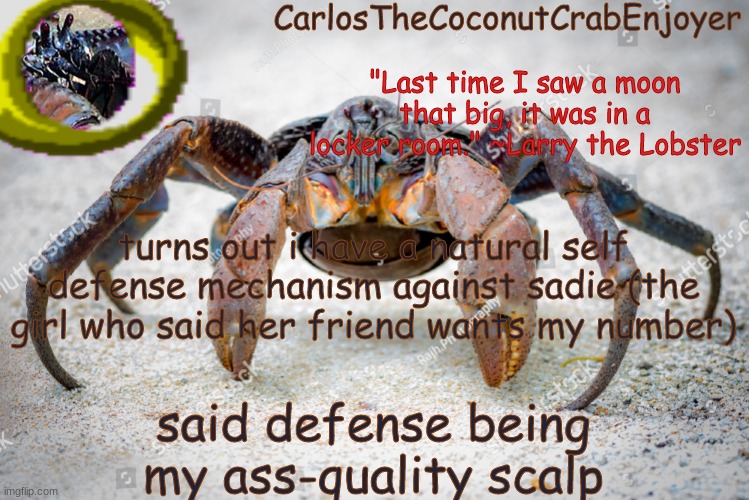 troll spotted; dandruff go | turns out i have a natural self defense mechanism against sadie (the girl who said her friend wants my number); said defense being my ass-quality scalp | made w/ Imgflip meme maker