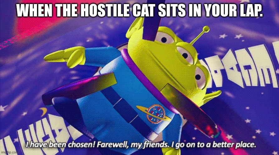 The Claw | WHEN THE HOSTILE CAT SITS IN YOUR LAP. | image tagged in the claw | made w/ Imgflip meme maker